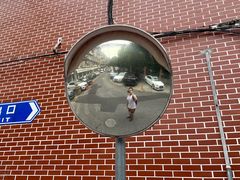 -陈记栗子(长宁路店)