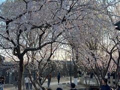 -春风习习