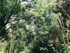 -西安曲江寒窑遗址公园