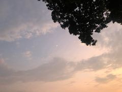 -草山夜未眠景观餐厅