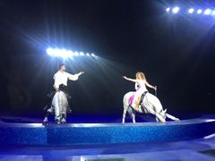 -珠海横琴长隆《卡卡虎奇遇记》