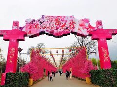 -北京凤凰岭