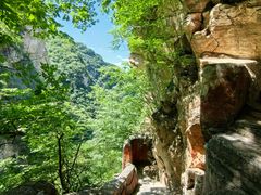 -北京上方山国家森林公园