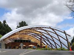 -怀托摩萤火虫洞