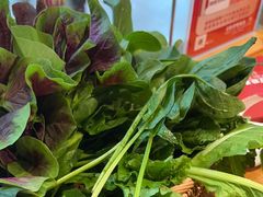-野山舂·贵州现舂酸汤牛肉(鸿通城店)