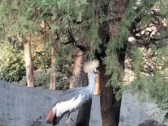 -昆明动物园