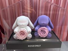 -ROSEONLY诺誓(广州K11店)