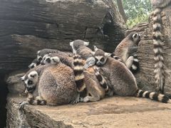 -秦皇岛野生动物园