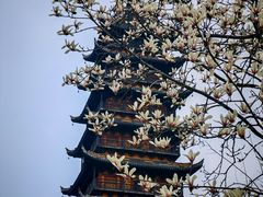 -常熟方塔园