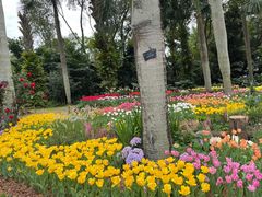-深圳仙湖植物园