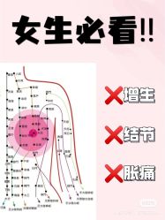 -香薇妮丝女子减肥院