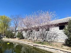 -三里河公园