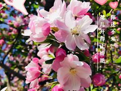 -海棠花溪(元大都城垣遗址公园)
