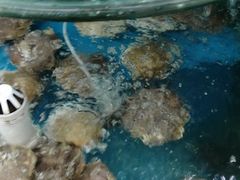 -聚德福海鲜家常菜(刘庄店)