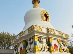 -护国法轮寺