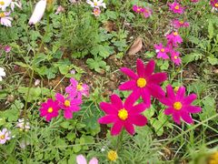 -南宁花花大世界景区