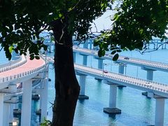 -星海湾跨海大桥