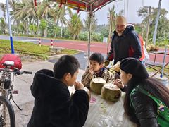 -东郊椰林