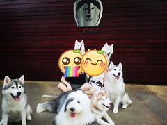 -TrueLove @ Neverland (Husky Cafe)