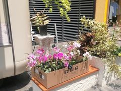 -涟LIAN·泰式按摩·MASSAGE·SPA(深业上城店)