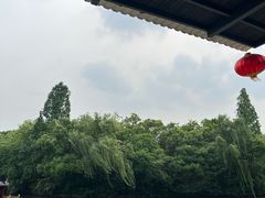 -鲁镇