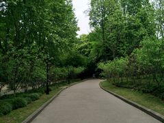 -上海市龙华烈士陵园