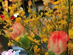 -Grande A'moo(上海万象城店)