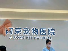 -阿荣24H宠物医院·综合型转诊中心·CT·核磁影像中心