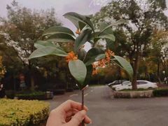 -幸福湖国际会议中心