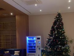 -JOYA湾悦国际酒店(世界之窗店)