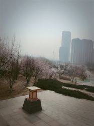 -大望京儿童游乐场