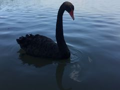 -天津东丽湖风景区