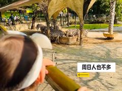-深圳野生动物园