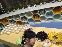 -小问号·科学启蒙·逻辑思维·阅读素养·口才演讲(杨浦合生汇中心)