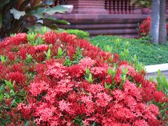 -柬埔寨国家博物馆