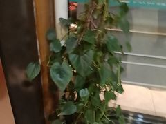 -阿伟海鲜楼·福建菜(涵江店)