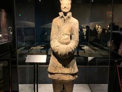-大嘻咹biangbiang面(历史博物馆店)