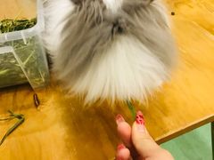 -藦茜花园宠物主题亲子互动体验馆(国顺东路店)