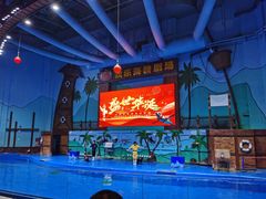 -石家庄极地海洋世界