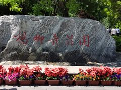 -杨柳青庄园