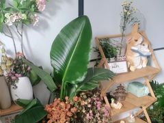-大鱼·养生·禅洗头疗·按摩SPA