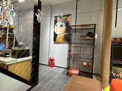 -pd派德宠物中心医院24H急重症·眼科中心·血液透析中心(嵩山北路店)