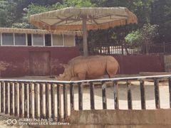 -泉州海丝野生动物世界