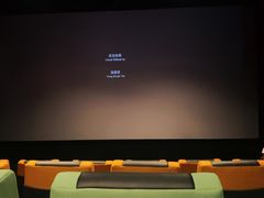-新影联·华谊兄弟影院(望京店)