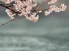 -焦作青龙峡风景名胜区