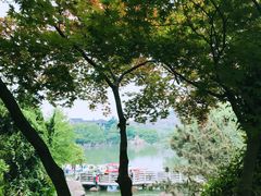 -白马涧龙池景区