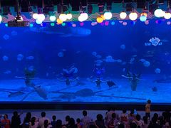 -烟台海昌鲸鲨海洋公园