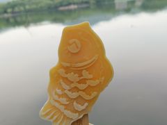 -西湖游船