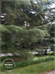 点击看大图 -河南省儿童医院(郑东院区)