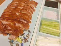 -海派美食·家宴海鲜青岛菜·石锅鲽鱼头(东方城店)
